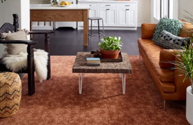 Area rug for living room | Simple Flooring Solutions | Jackson, MI