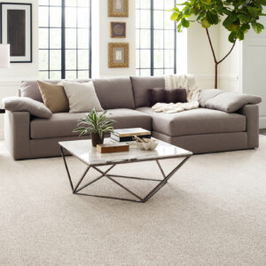 FindYourComfortAccent- Carpet | Simple Flooring Solutions | Jackson, MI