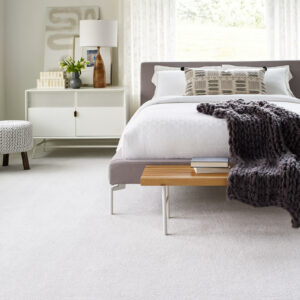 FindYourComfortTonal- Carpet | Simple Flooring Solutions | Jackson, MI