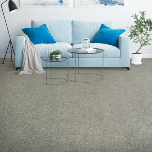 Placid-Reflection Carpet | Simple Flooring Solutions | Jackson, MI