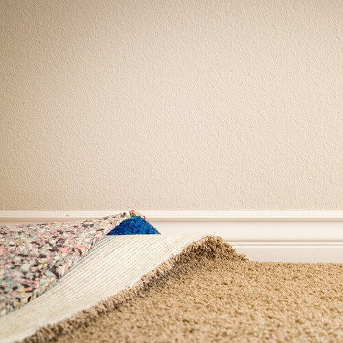 Jackson Carpet Installation Services | Simple Flooring Solutions