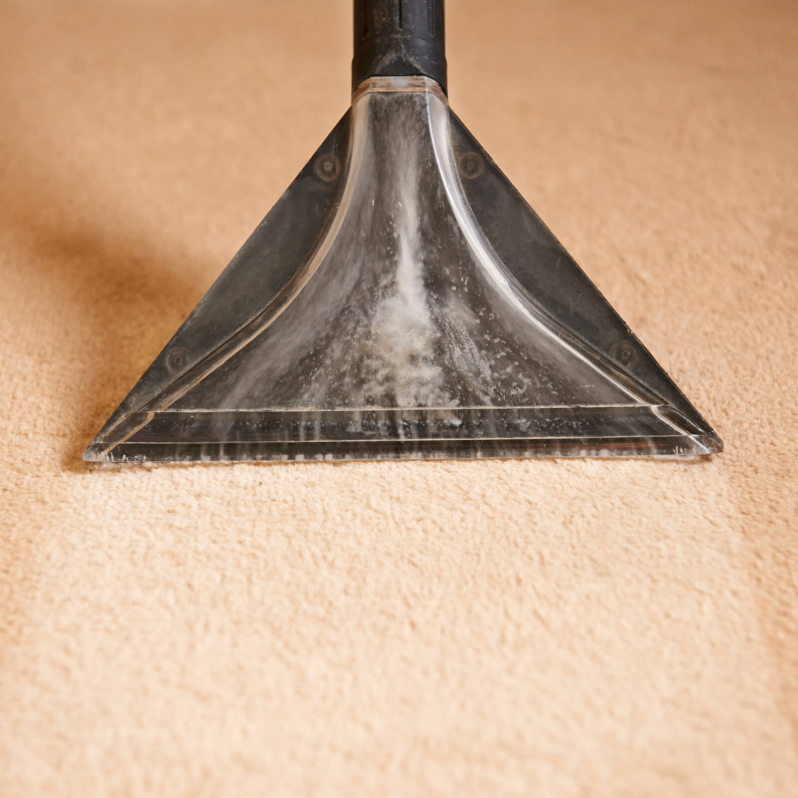 carpet_cleaning2_1600x1600 (1)